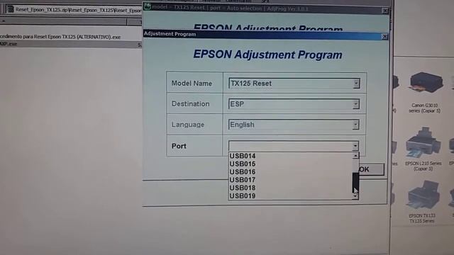 Reset impressora Epson Tx125 luzes acesas almofada cheia смотреть онлайн