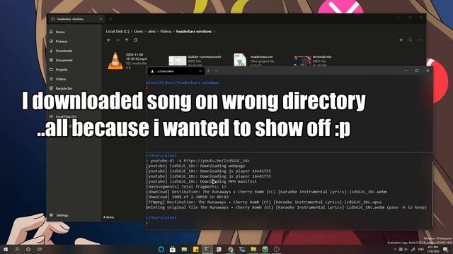 Short workflow demo using Fluid Files and Terminal, Ft Windows 10 смотреть онлайн