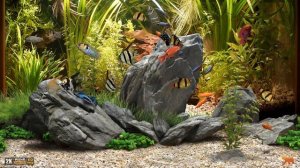 Dream Aquarium / Screensaver / 60fps
