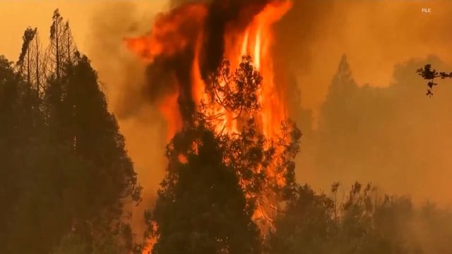 VERIFY: Yes, air conditioners can help filter out wildfire smoke from within your home смотреть онлайн
