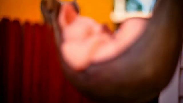 50mm 1.8 lens Stop Motion // Windows Movie Maker. смотреть онлайн