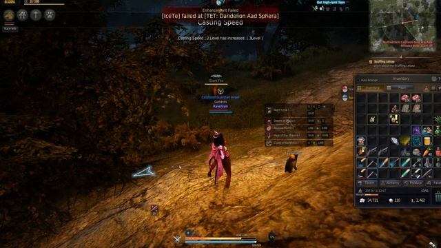 Black Desert Online - Hunting Guide (Wolves and Foxes) смотреть онлайн