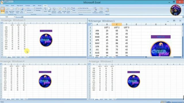How To Arrange Windows In Excel| Cyber World Part 15|View Tab|New Window|Excel me sheet ko arrange смотреть онлайн