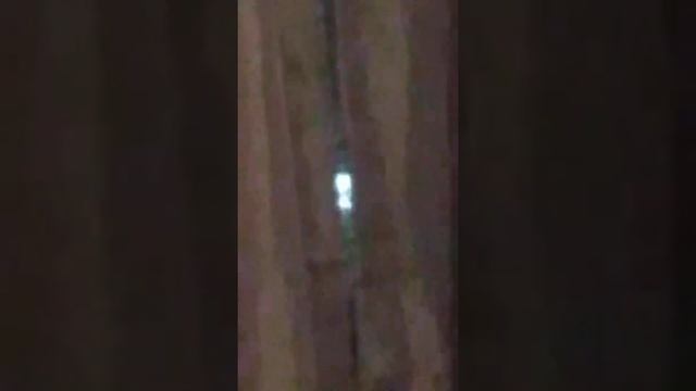 alien-like head looking in my window. смотреть онлайн