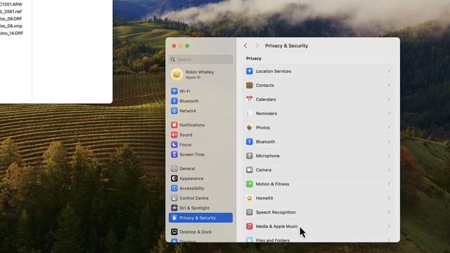 DxO PureRAW  4: Quick Processes