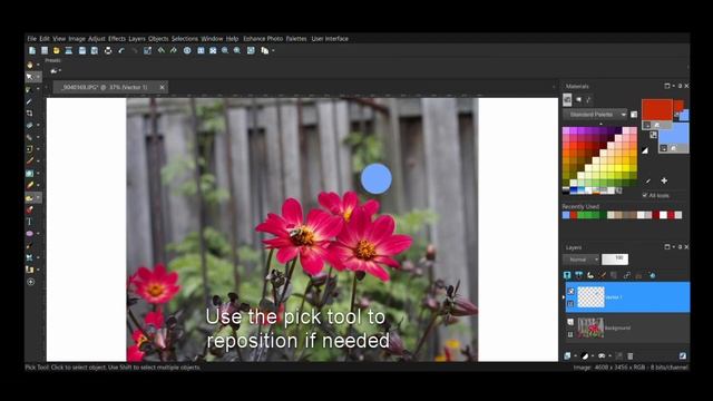 Corel PaintShop Pro - How to circle an object of interest in a photo [Tips And Tricks] смотреть онлайн