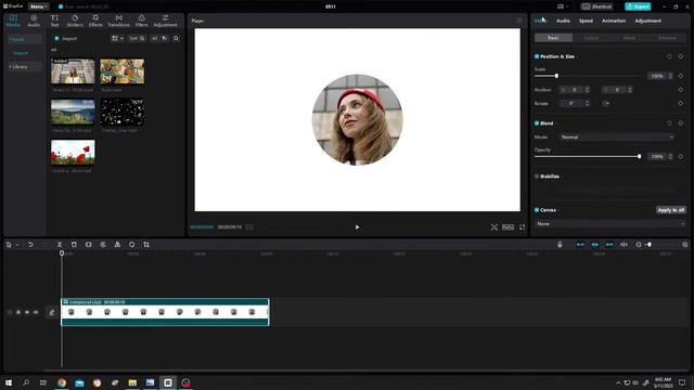 Circular Crop with Border | CapCut PC Tutorial смотреть онлайн