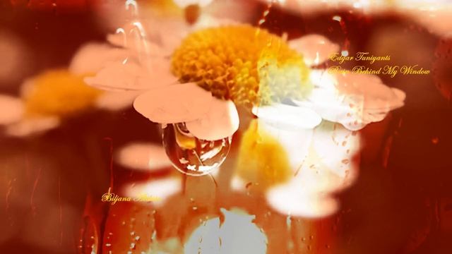 Edgar Tuniyants - Rain Behind My Window смотреть онлайн