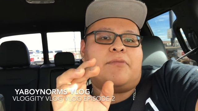 My Window CRACKED?! *Voggity Vlog Vlog Epsiode 2* смотреть онлайн