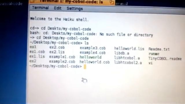 Haiku OS running in Win XP under QEMU, then running TinyCOBOL смотреть онлайн