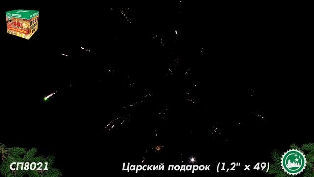 СП8021 смотреть онлайн