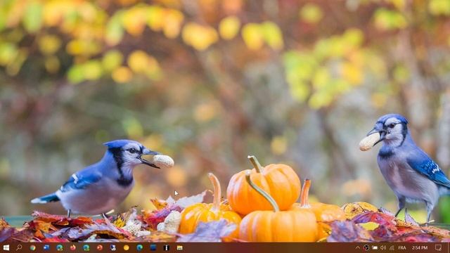Windows 10 still has a future and will be here for a long time Oct 28th 2020 смотреть онлайн