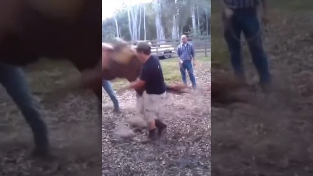 Раз и челюсти нет.mp4 смотреть онлайн