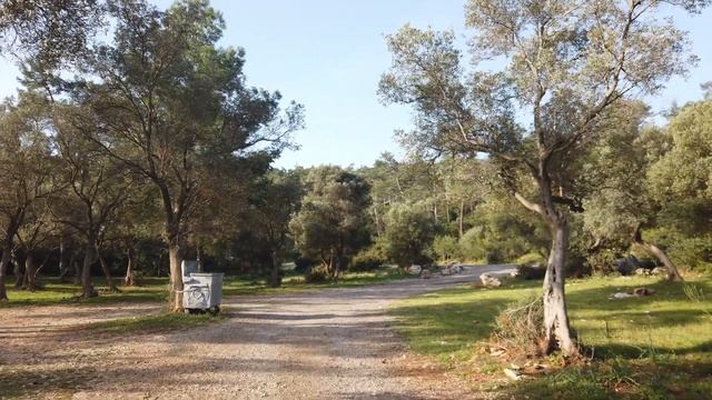 Didim Akbük Ücretsiz Kamp Alanı | Ege'de Kamp Yapılacak Yerler смотреть онлайн