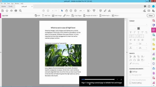 How to Copy Text From a Picture using Adobe Acrobat Pro DC смотреть онлайн