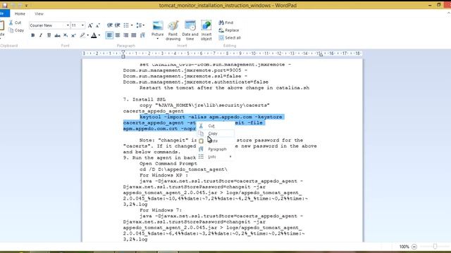Tomcat Monitoring on Windows смотреть онлайн