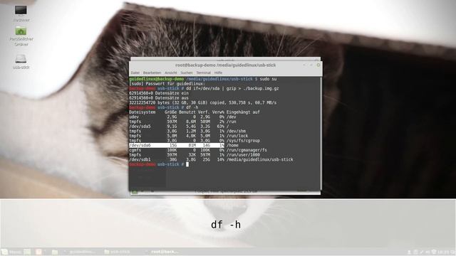 Backup der kompletten Festplatte mithilfe von dd (Deutsch) смотреть онлайн