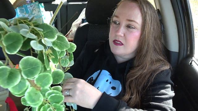 MASSIVE SHOPPERS DRUG MART + WALMART + MICHAELS HAUL | **SPRING EDITION** BRAND NAMES | THE RALPHIE смотреть онлайн