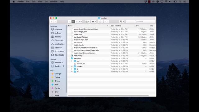 Installing An ASP .NET CORE Site On An IIS Server