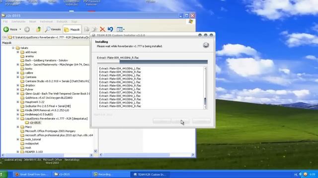 Program LiquidSonics installation (Reverb tutorial 2.) смотреть онлайн