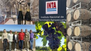 Виноделие в Аргентине - Провинция Мендоса - INTA Rama Caida - Март 2023г. Vinos