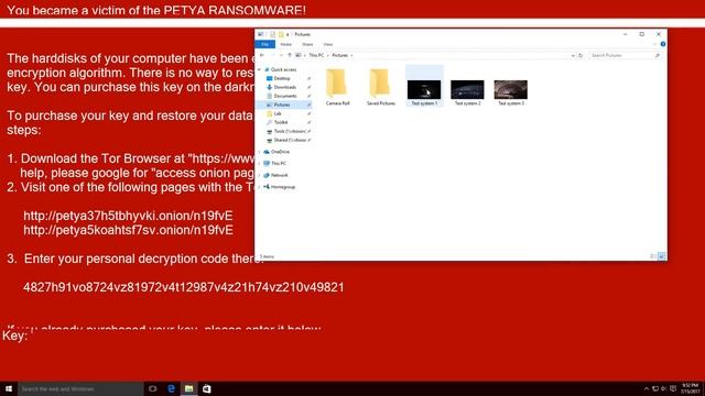 Fake Ransomware | Petya & WannaCry Imitations