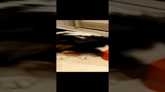 Маша и Люся