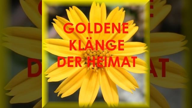 Piccola Romanza смотреть онлайн