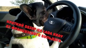Краткий отзыв на Lada Xray в изложении французского бульдога.