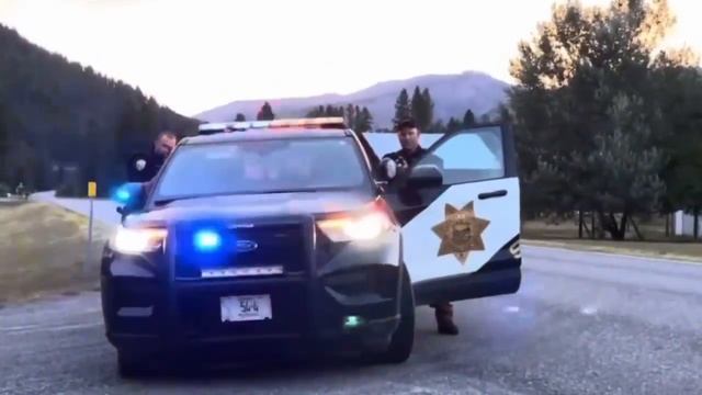STEP OUT OF THE CAR NOPE id refusal first amendment audit смотреть онлайн