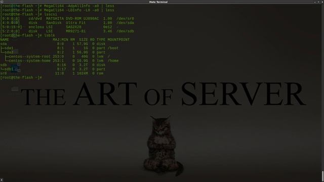 Don't be afRAID (of RAID) | How to access hardware RAID-5 array with HBA and software смотреть онлайн