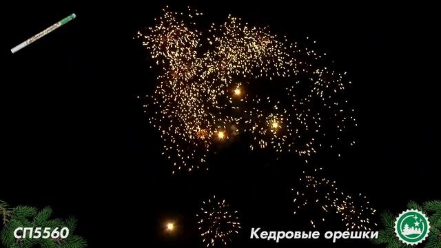 СП5560 смотреть онлайн