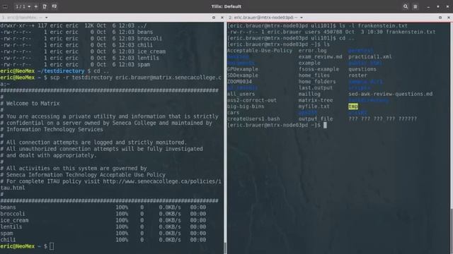 ULI101 Lecture6 -- SSH, SCP, other useful network tools смотреть онлайн