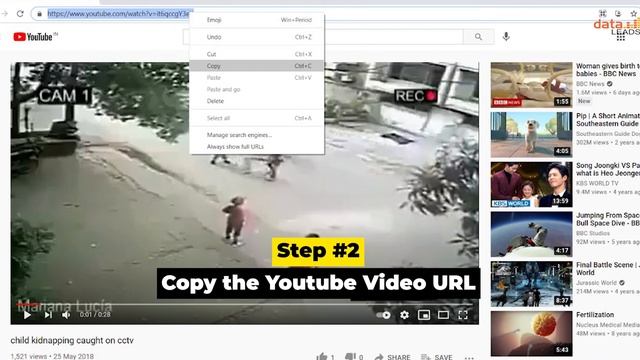 TipSheet: YouTube Data Viewer смотреть онлайн