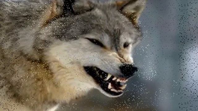 Женщина моя... смотреть онлайн