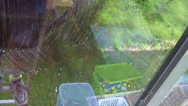 Excel Window Cleaning, Ladder Work смотреть онлайн