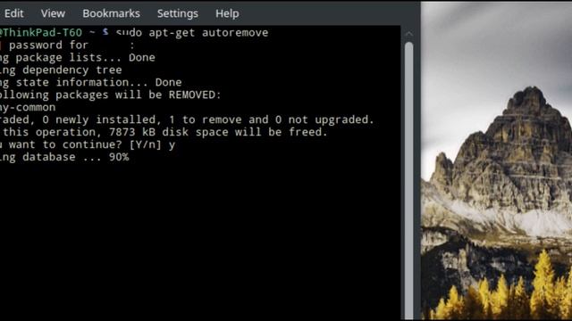 Linux Mint - Remove Old Packages смотреть онлайн