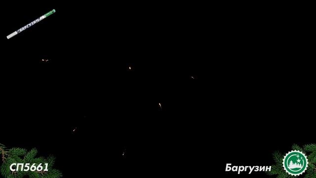 СП 5661 смотреть онлайн