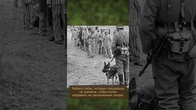 "Ангел смерти" одна из самых жестоких девушек-надзирательниц Третьего Рейха смотреть онлайн