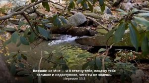 Вы окружены заботой Небесного Отца  Библия утром.