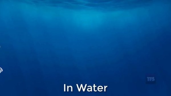 Laugh Meme Sound Effects