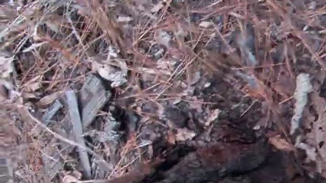 Spokane Mountain Bike Freeride lite.wmv смотреть онлайн