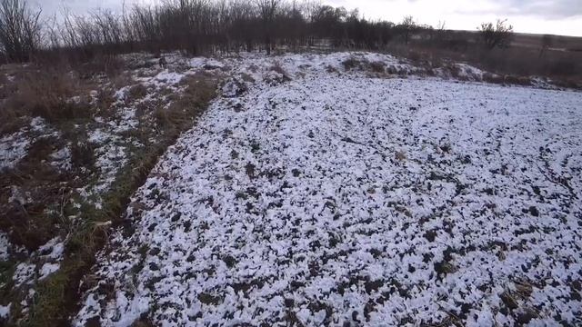 Охота с Патроном в -15°С. ТОЗ-34. смотреть онлайн