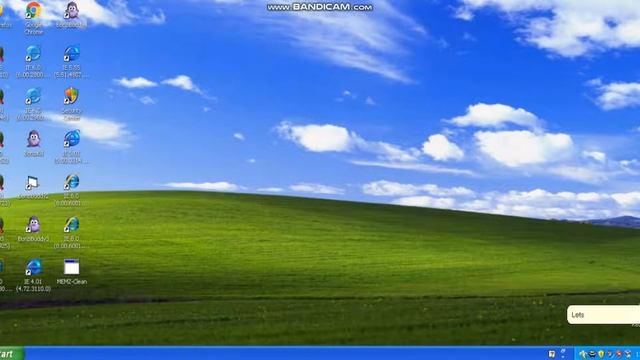 Running BonziKill on Windows XP смотреть онлайн