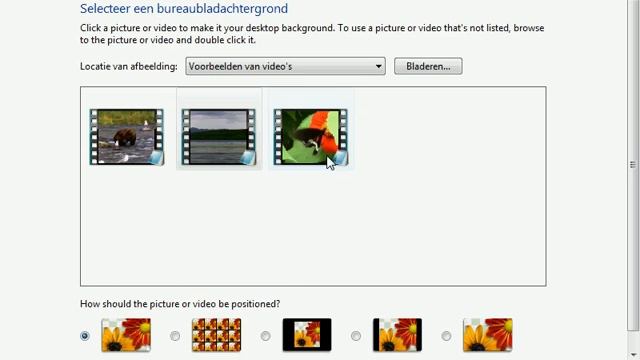 The Windows DreamScene Feature смотреть онлайн