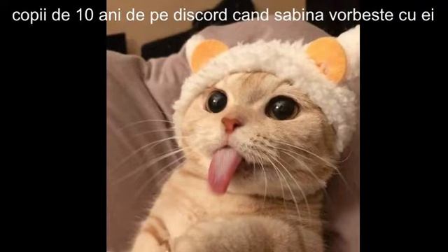 Relatii discordiene.exe смотреть онлайн
