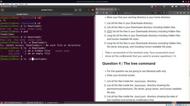 Lab 3 | Installing software and navigating the file system смотреть онлайн