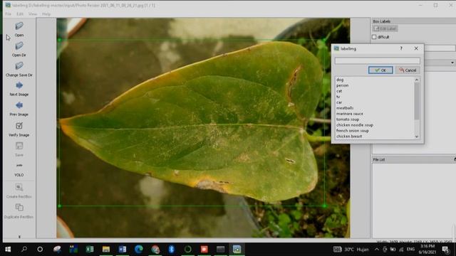 Cara Menggunakan labelImg-master untuk anotasi citra pada dataset YOLO (windows + anaconda) смотреть онлайн