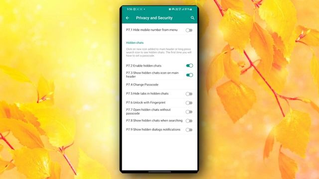 How to use plus messenger || смотреть онлайн