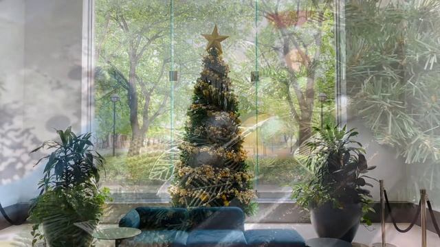 What I did a day | Morning walk | Local window shopping | Brunch at Carlton cafe смотреть онлайн